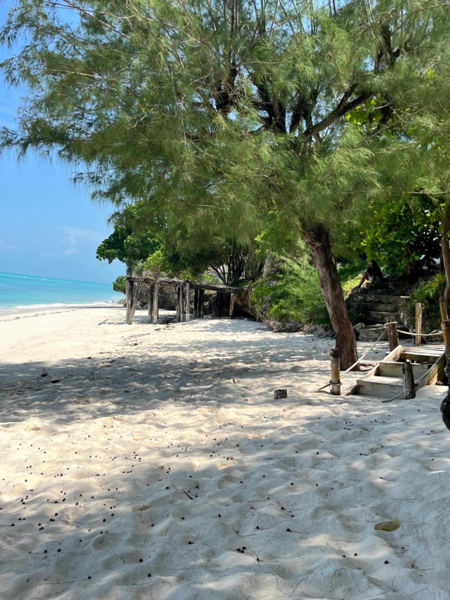 Sazani Beach Lodge And Tidal Lounge Nungwi Dış mekan fotoğraf