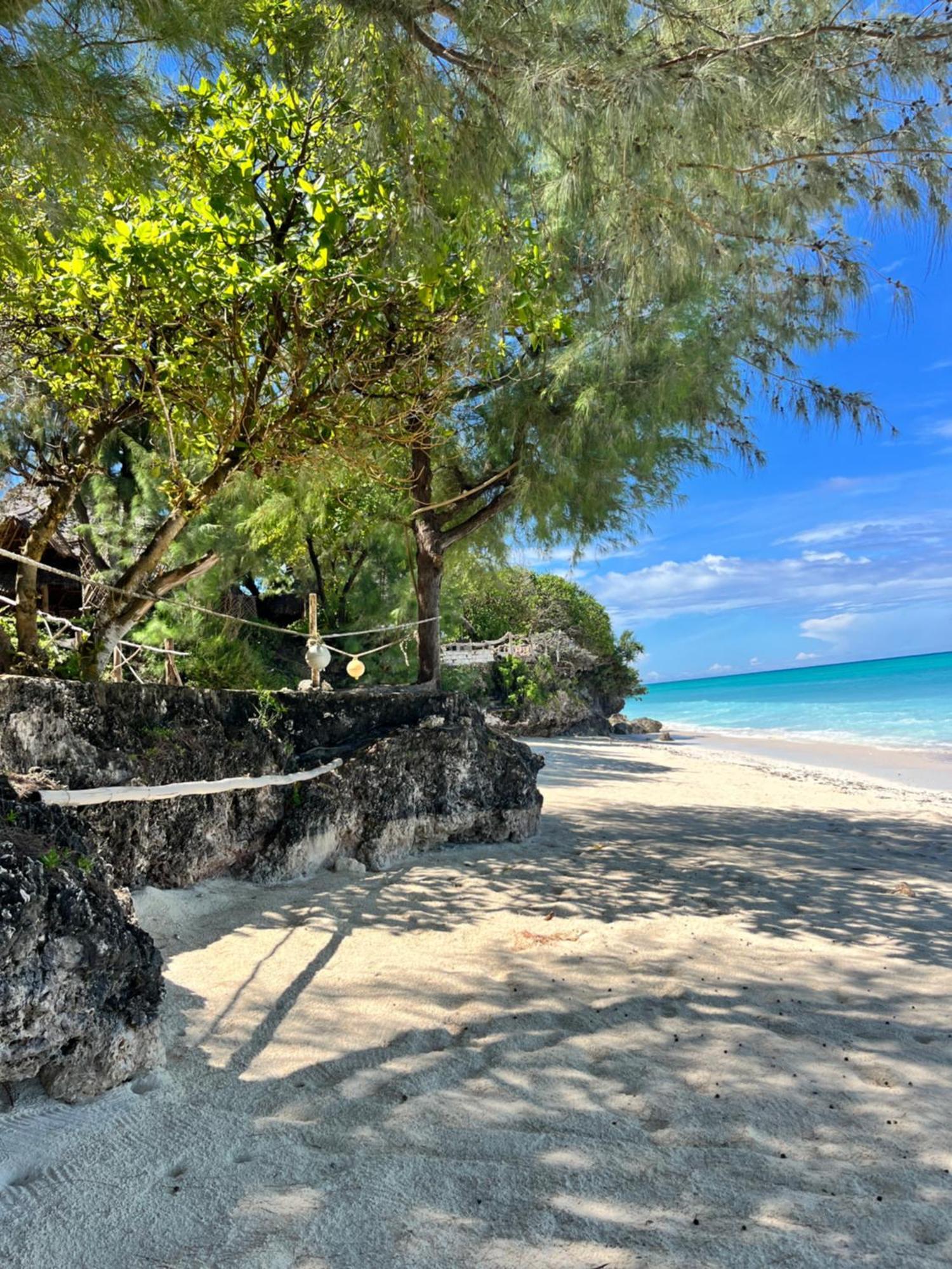 Sazani Beach Lodge And Tidal Lounge Nungwi Dış mekan fotoğraf