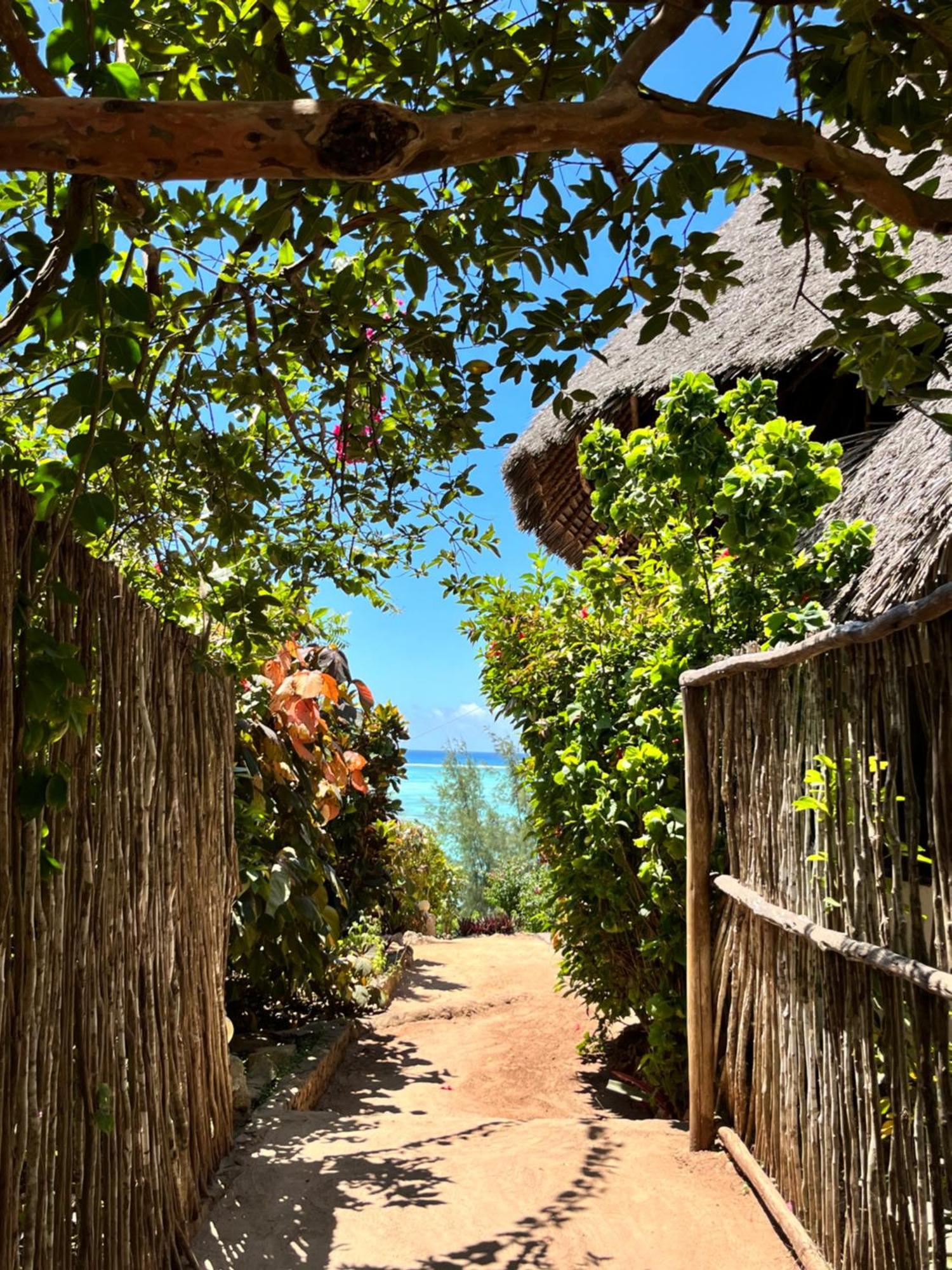 Sazani Beach Lodge And Tidal Lounge Nungwi Dış mekan fotoğraf