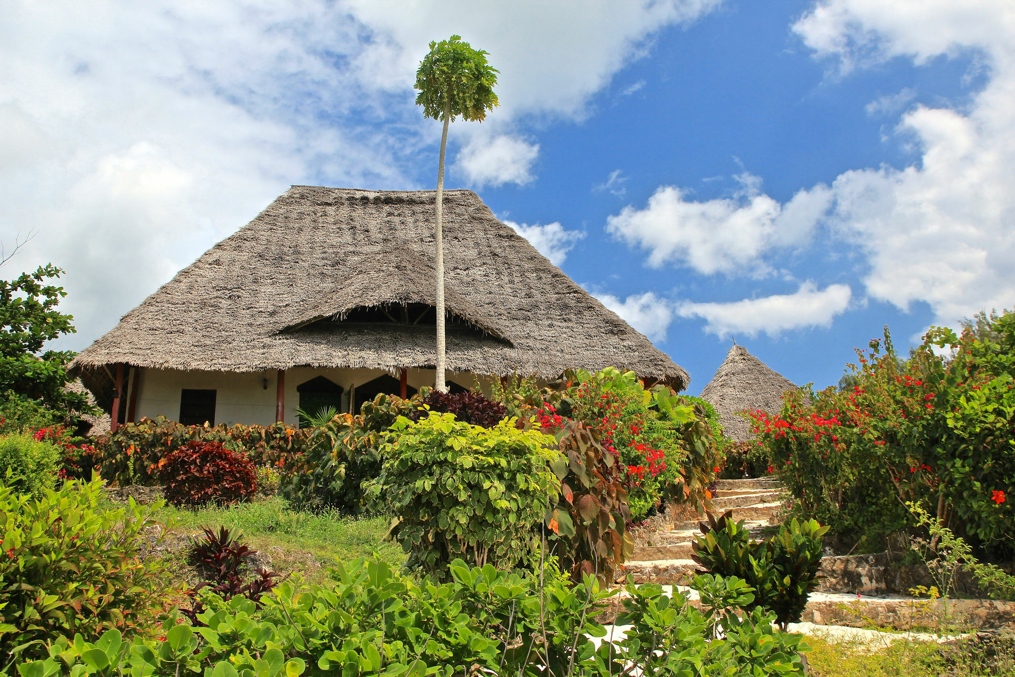 Sazani Beach Lodge And Tidal Lounge Nungwi Dış mekan fotoğraf